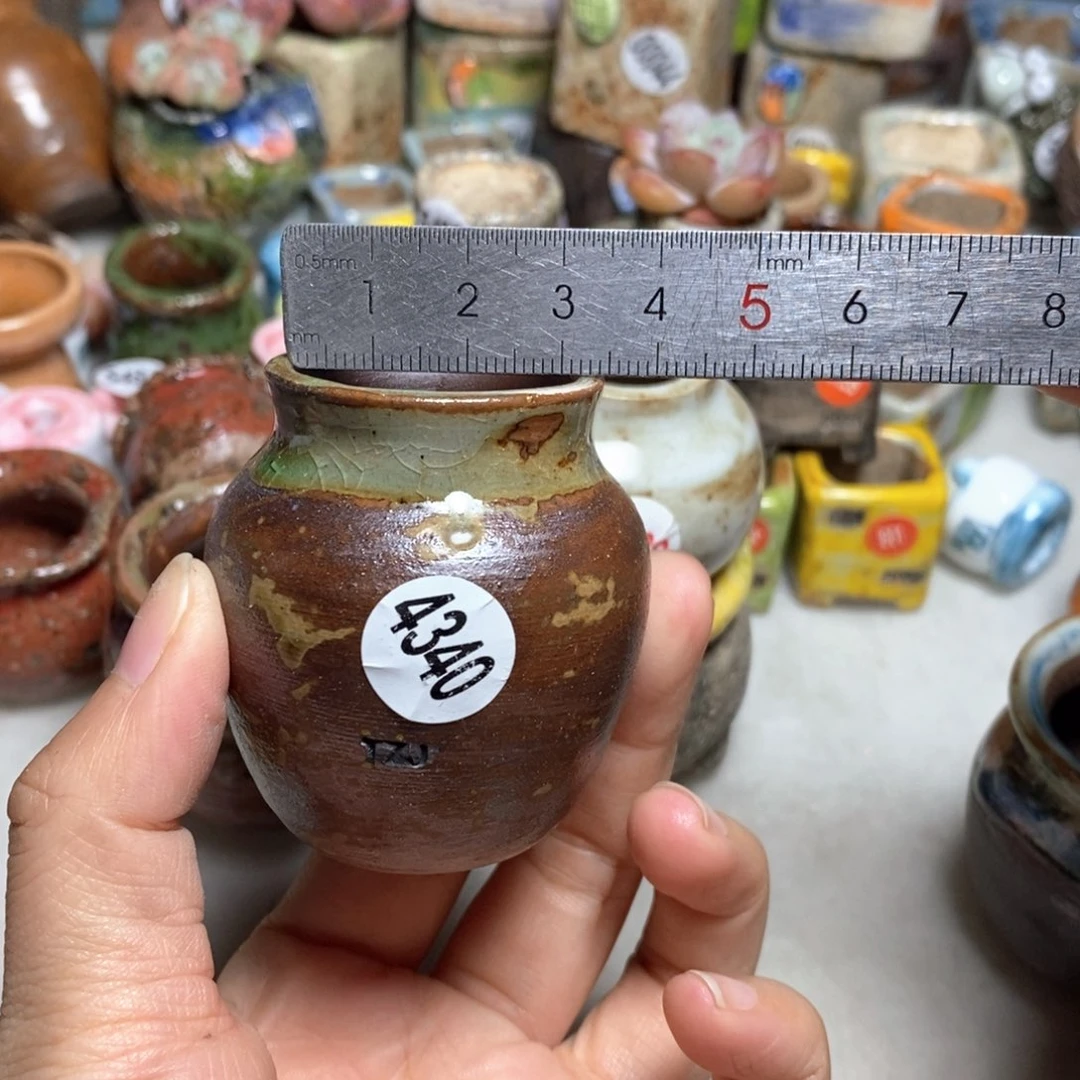 拍5送一个小礼物