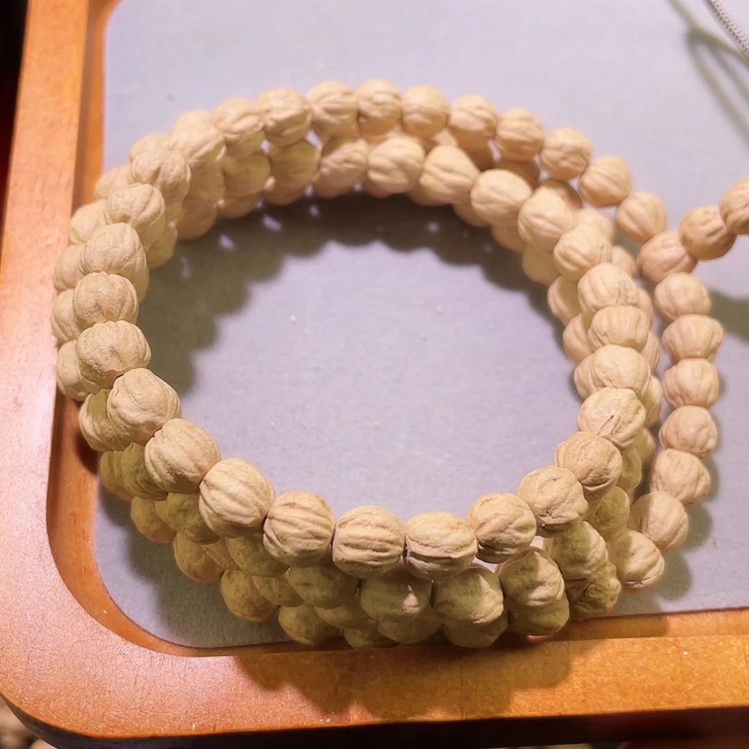 百香籽 黄皮 大尺寸 原桩顺 6-9+mm左右