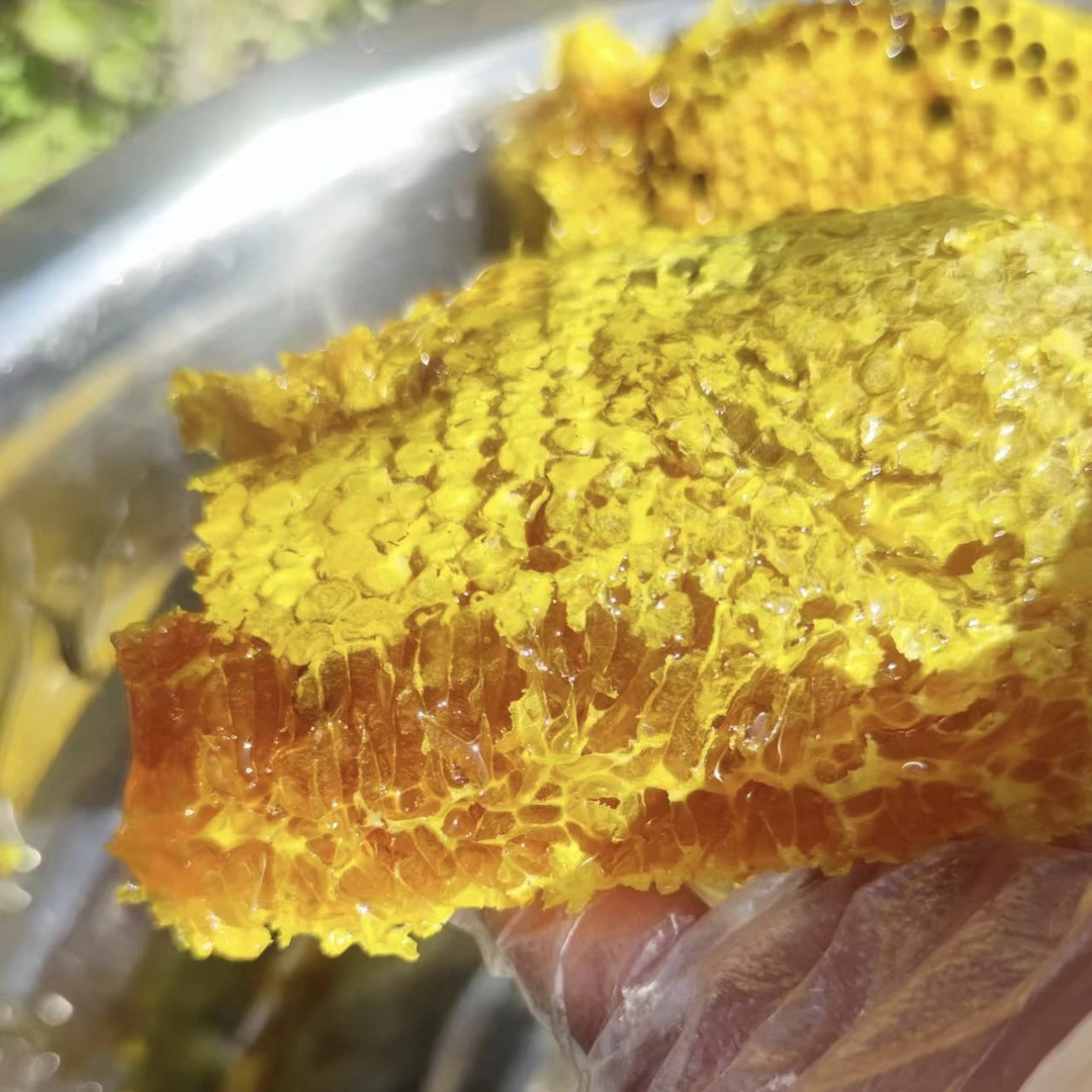 （蜂 蜜 带巢）哀牢山野生土 蜂 蜜  蜂巢 云南特产高山野生农家