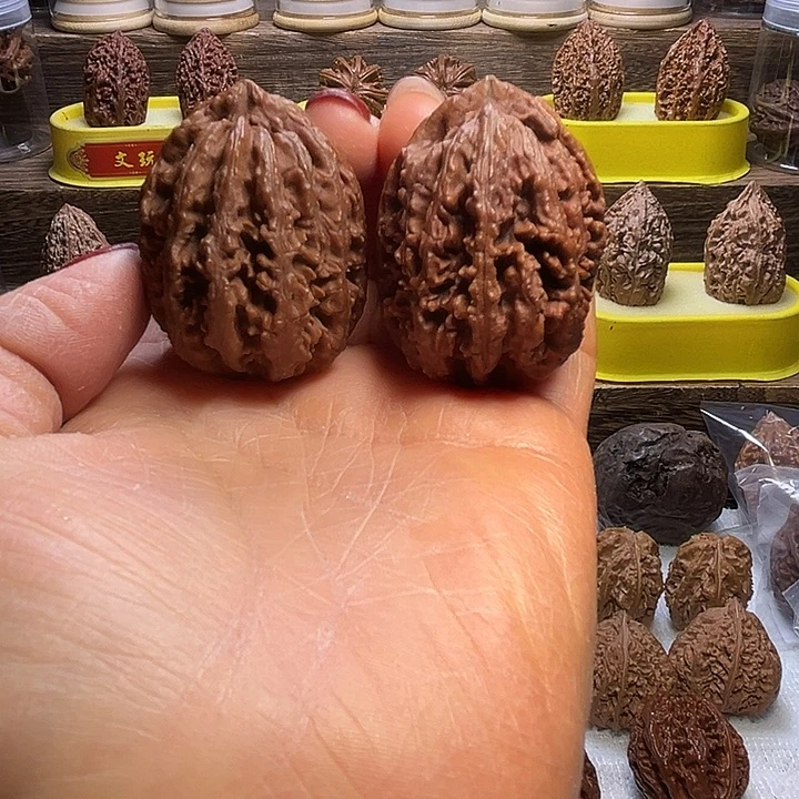 核桃41号车放漏漏漏