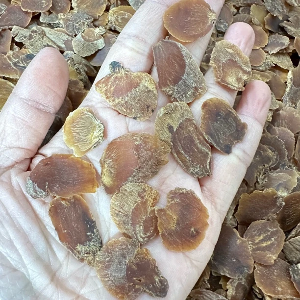 大片高丽参炖汤泡水