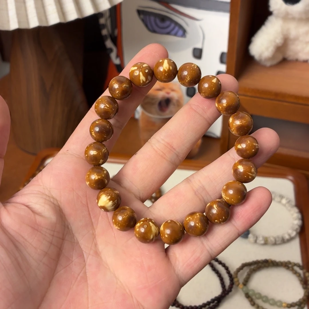 菩提根/象牙果手串
