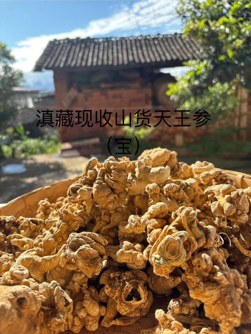 藏区野生现收好物【  天 王 参 】宠粉福利拍100克送150克到手250克