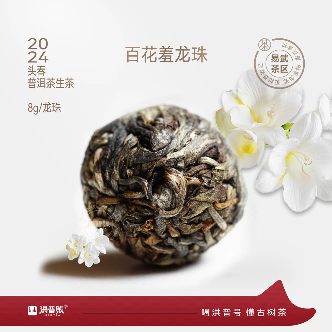 2024年易武秘境头春古树 森林一号【百花羞】龙珠