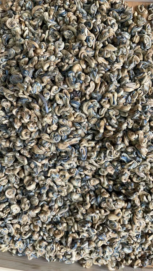 【TZ-123】2023年凤庆小金螺古树晒红散