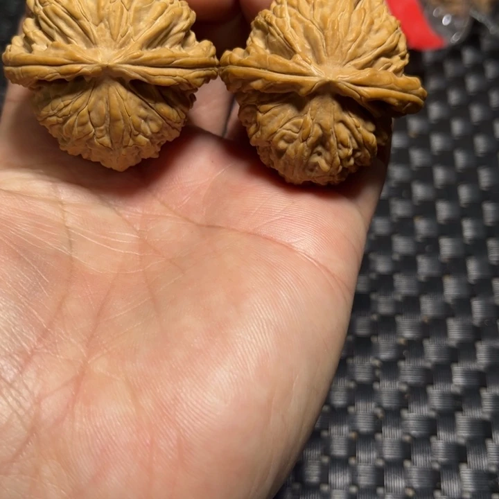 把件文玩核桃白狮子