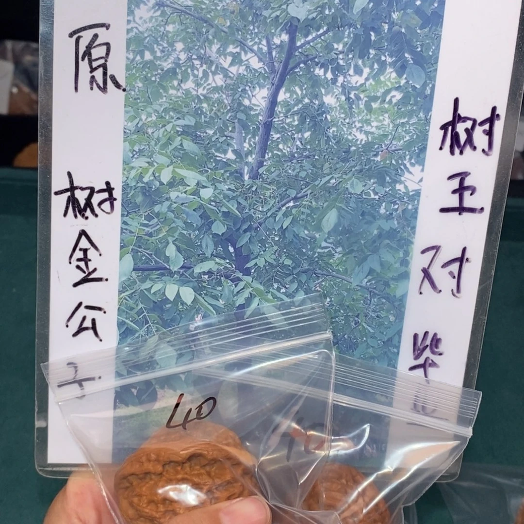 吊坠文玩核桃40金公子