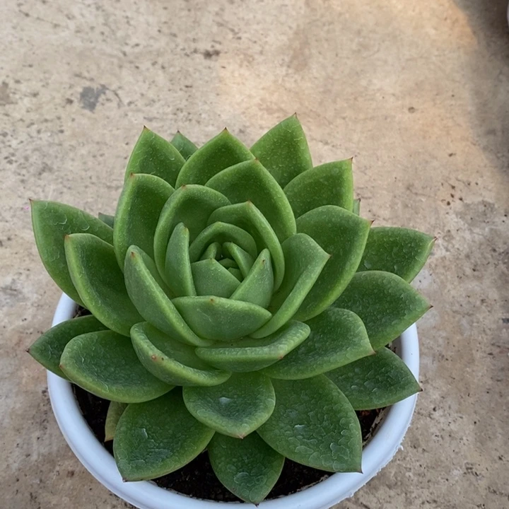 一****?翠花B-25.2.14