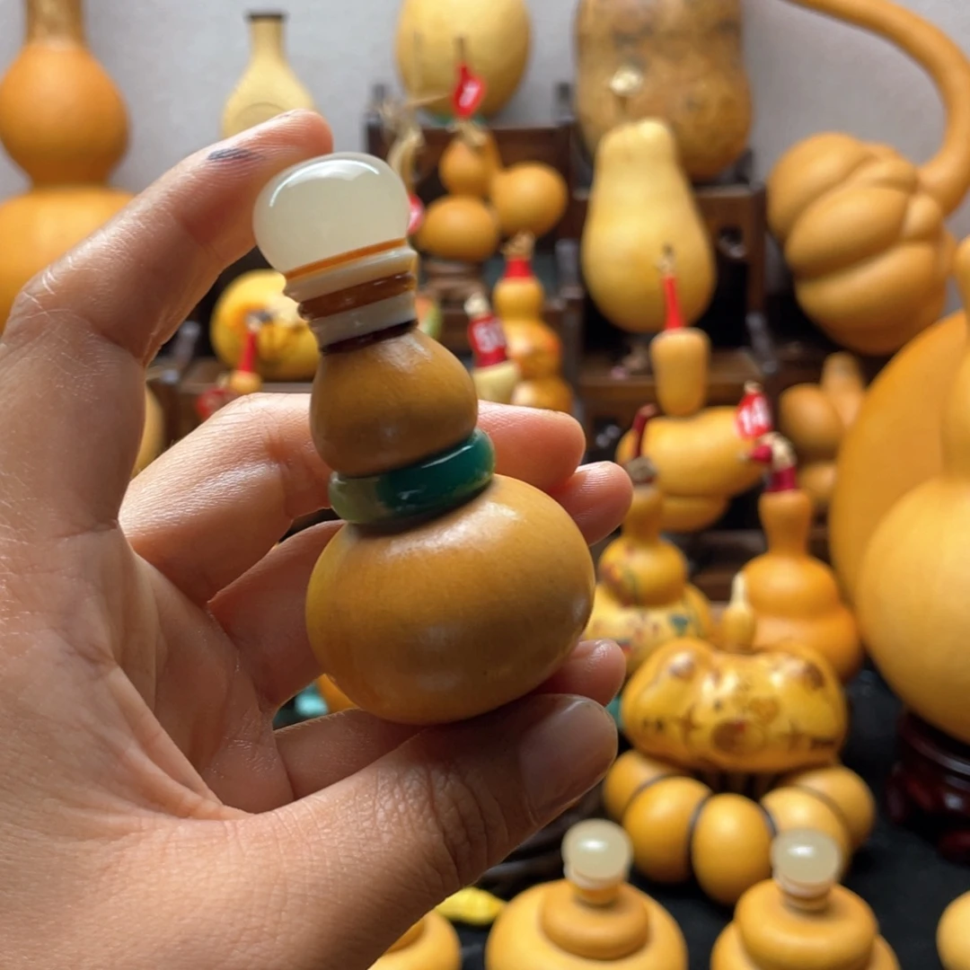 向*?大自然的秘密第十一节的