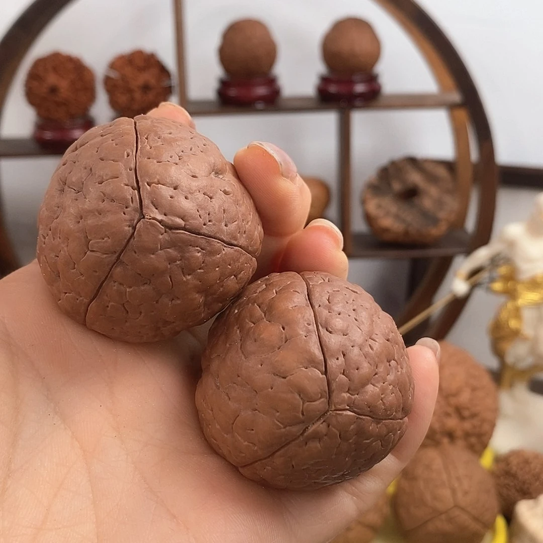 文玩核桃把件小**宠三瓣脑纹金刚平纹4449