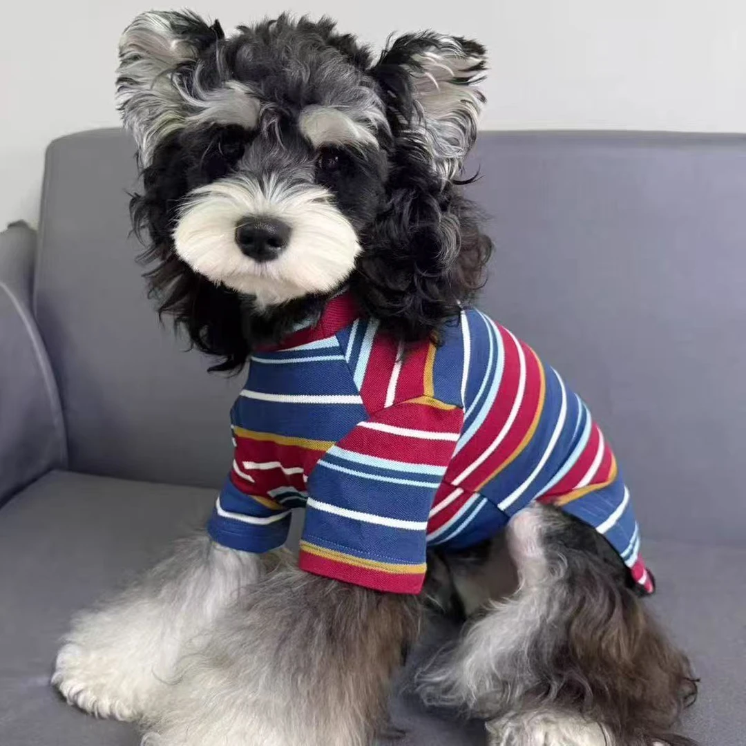 狗狗衣服潮流美式条纹春秋夏薄款宠物T恤小型犬雪纳瑞泰迪比熊~棉