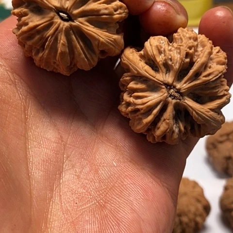 吊坠文玩核桃38尺寸全品暴雪