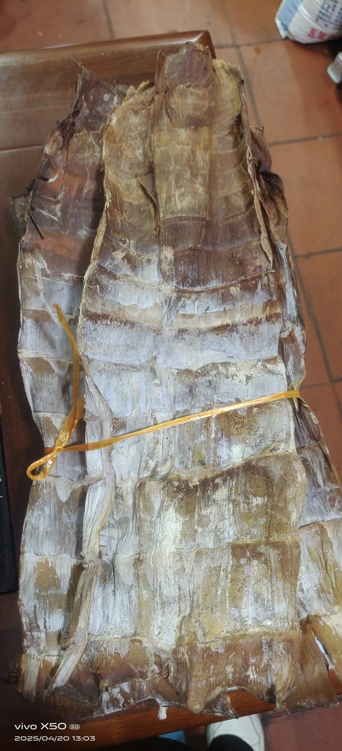 福建建瓯高山烟笋干薄款无头