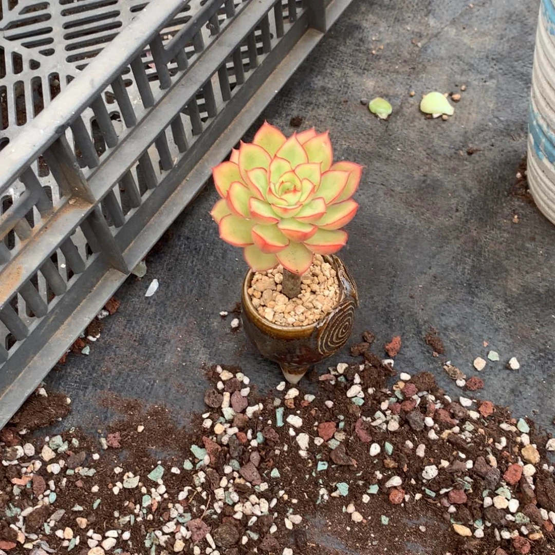 孙***凤人工增水系统在国内已经应用