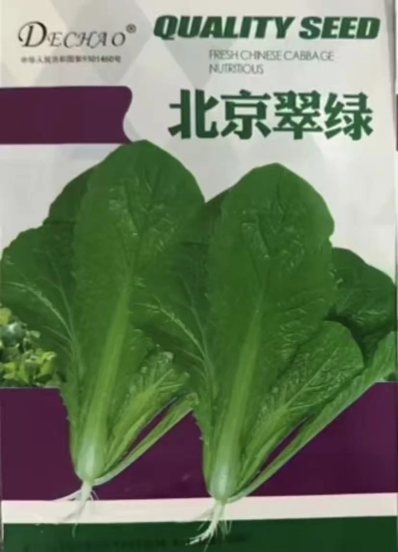 【188脆嫩北京翠绿小白菜种子】四季种植盆栽地栽阳台小院种植