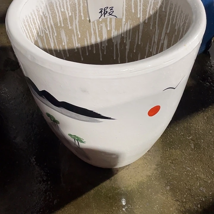 我是一只小小鸟地域鬼的人生
