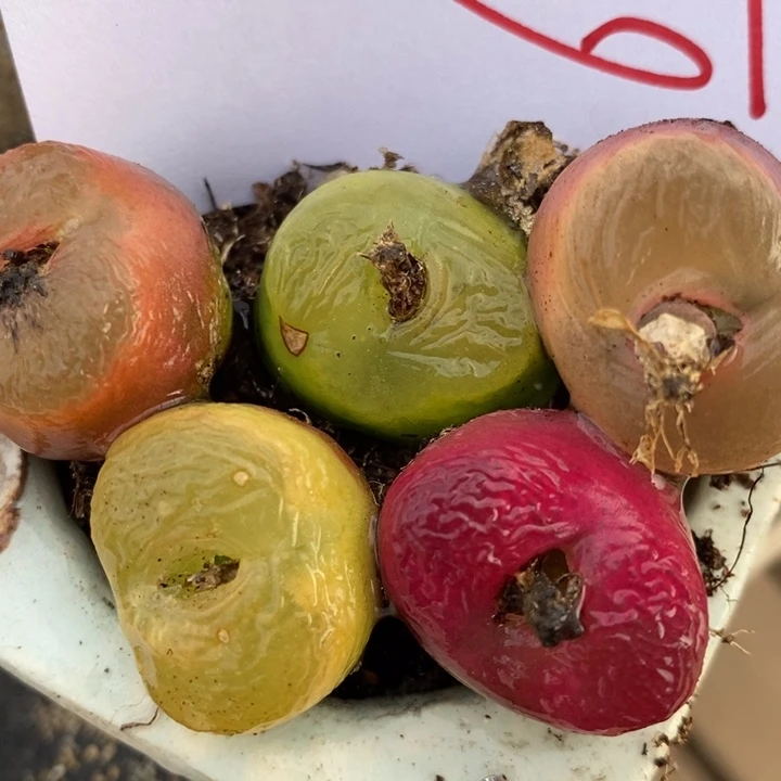 661一组一组一组