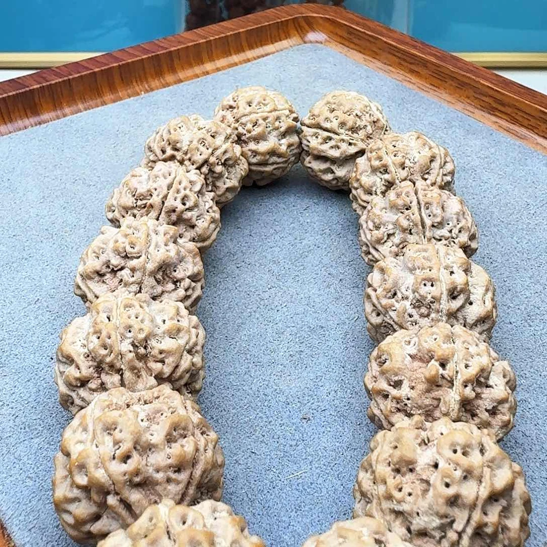 金刚菩提手串五星蜂王