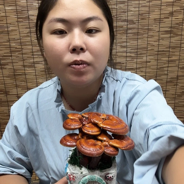 无花朵筑****！灵芝孢子囊孢子粉