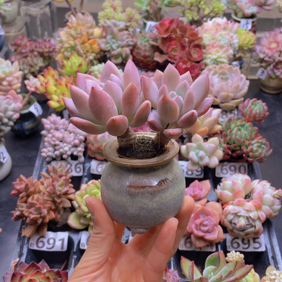 微*笑花器和花器花器花器