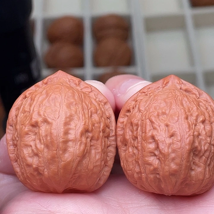 文玩核桃把件赤玉蚂蚁纹
