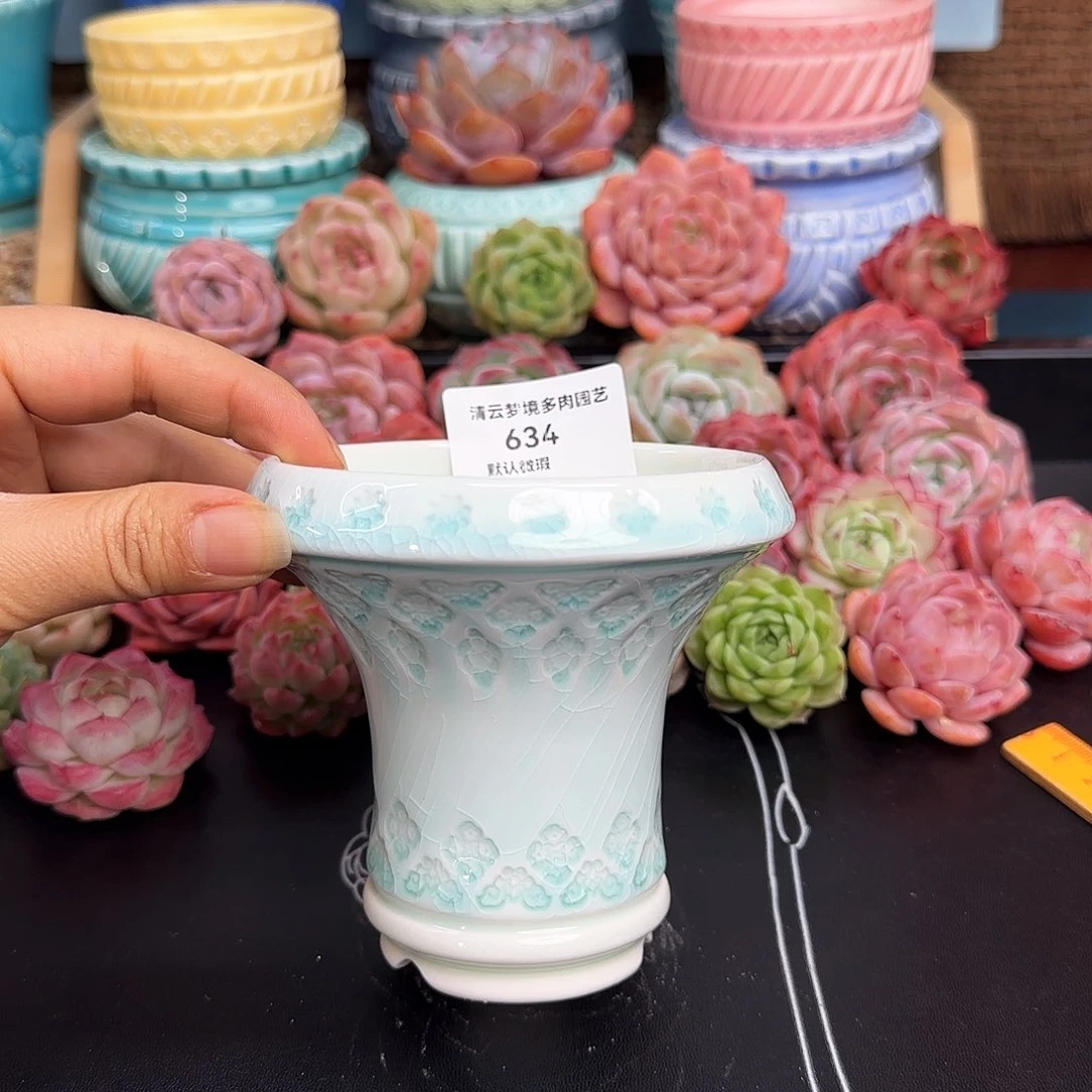 【闪购商品】634 8口花盆