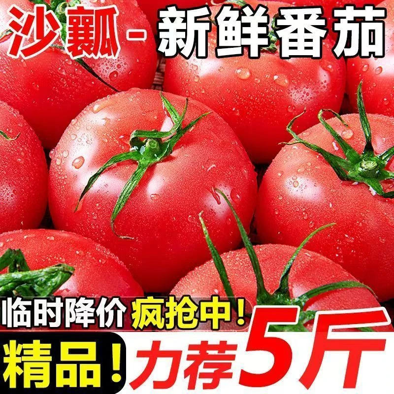 WF云南正宗西红柿沙瓤现摘新鲜番茄可生自然柿子水果批发蔬菜整箱