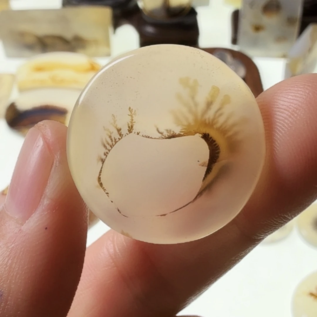 玛瑙/玉髓未镶嵌珠宝半成品