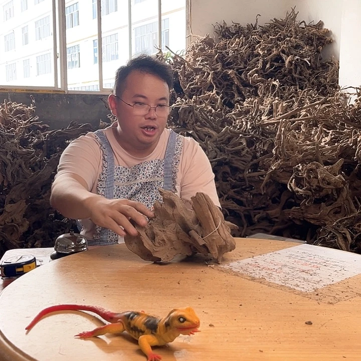 木302520 鱼缸造景根雕工艺170