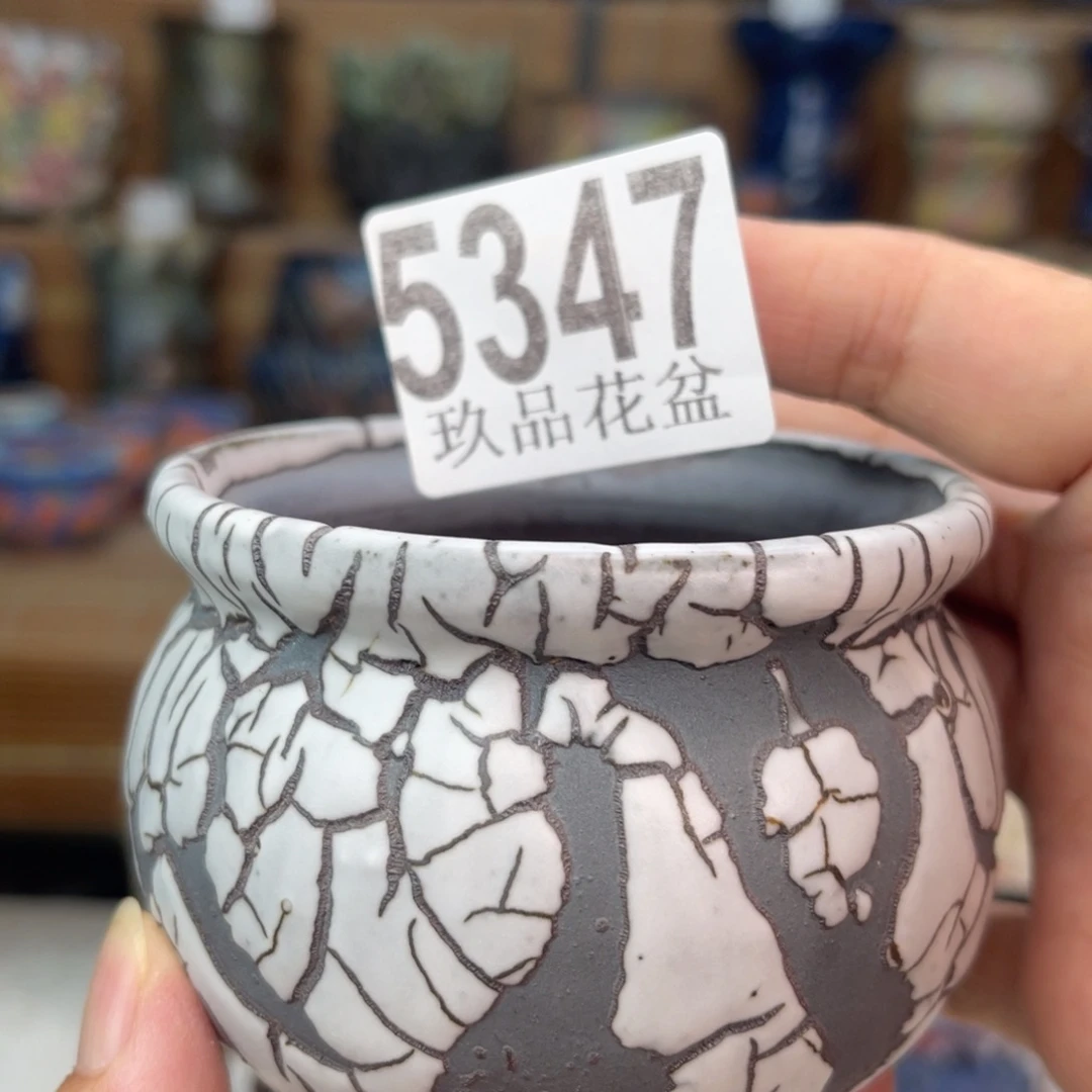 景德镇陶瓷玖品花盆