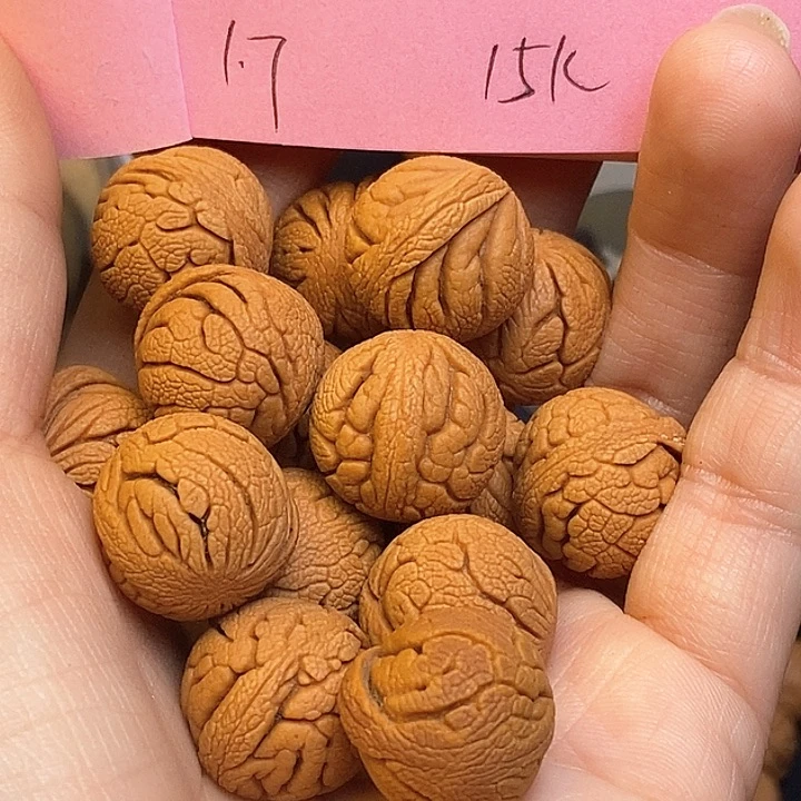 吊坠桃核秦岭龙纹桃核17尺寸