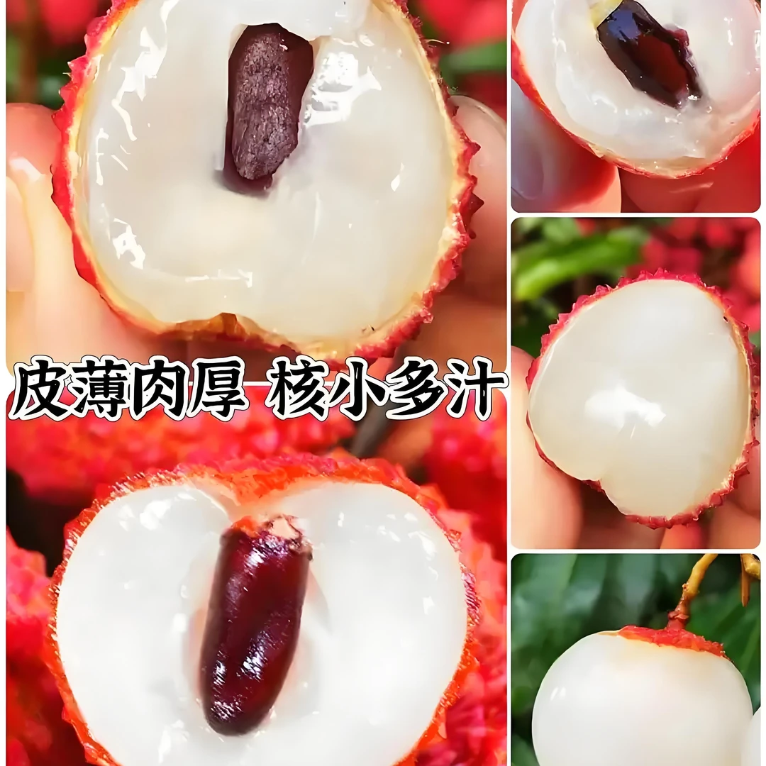 桂味荔枝（肉厚核小）一斤荔枝同城送广西壮族自治区