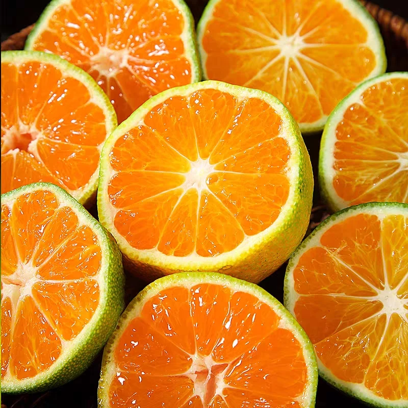 新鲜现摘青皮桔子水果新鲜采摘橘子皮薄多汁清甜水果产地直发香甜