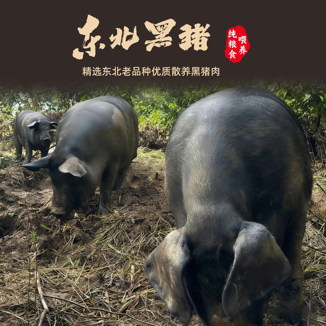 原生态放养 黑猪肉新鲜美味 现场称重为准【顺丰包邮】