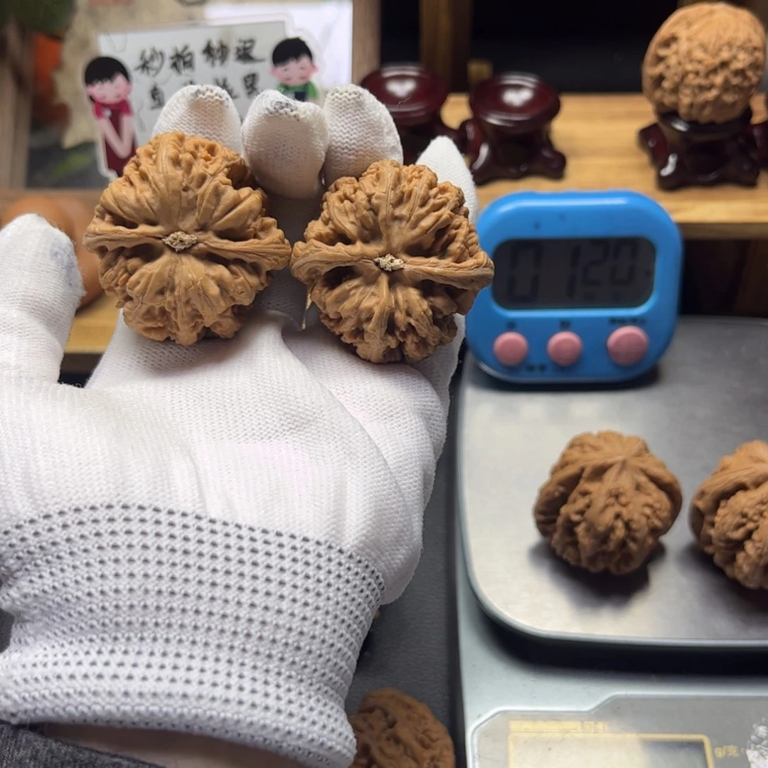 把件文玩核桃小*鱼全品粗筋144