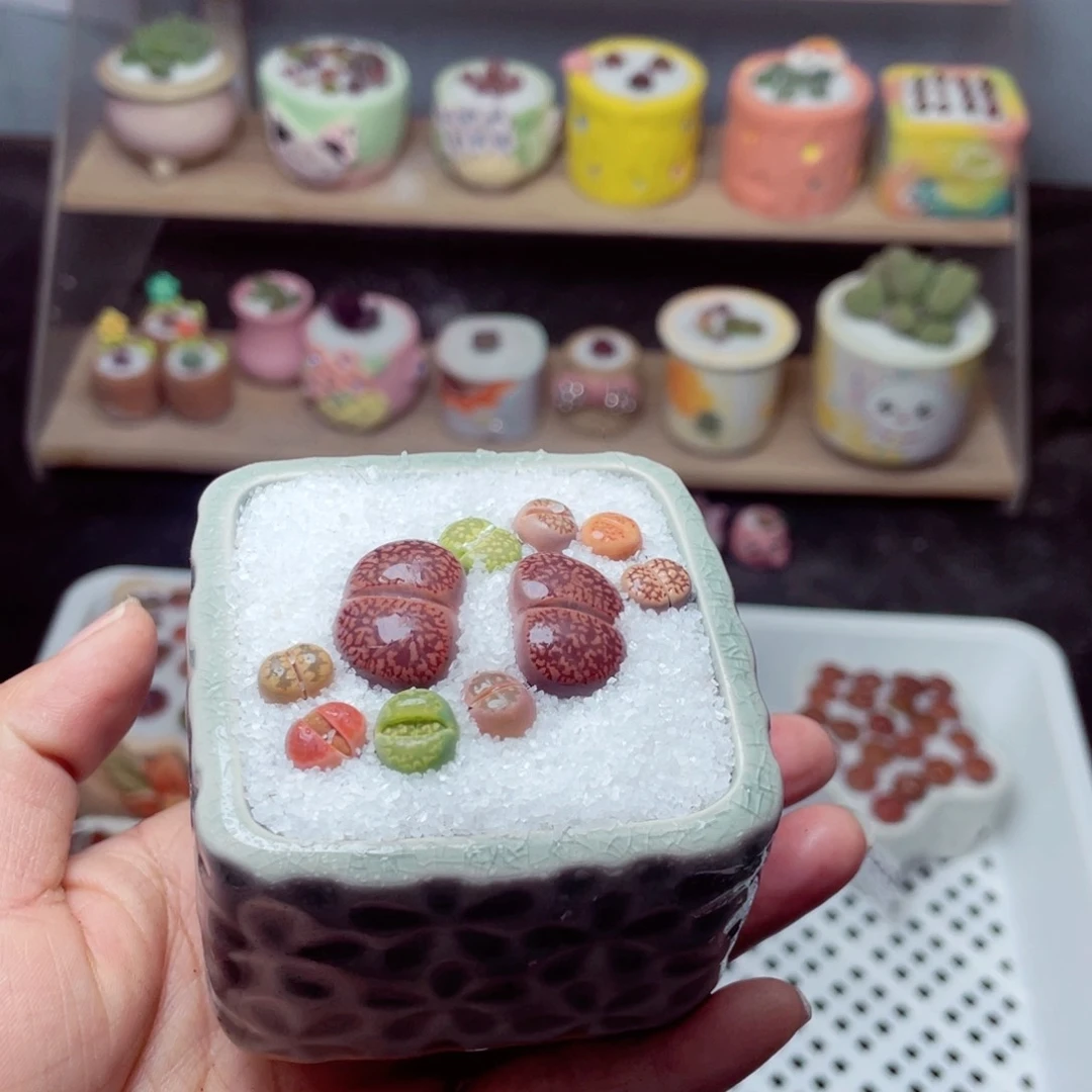 w1094 带盆土发货-零下地区拍保温箱