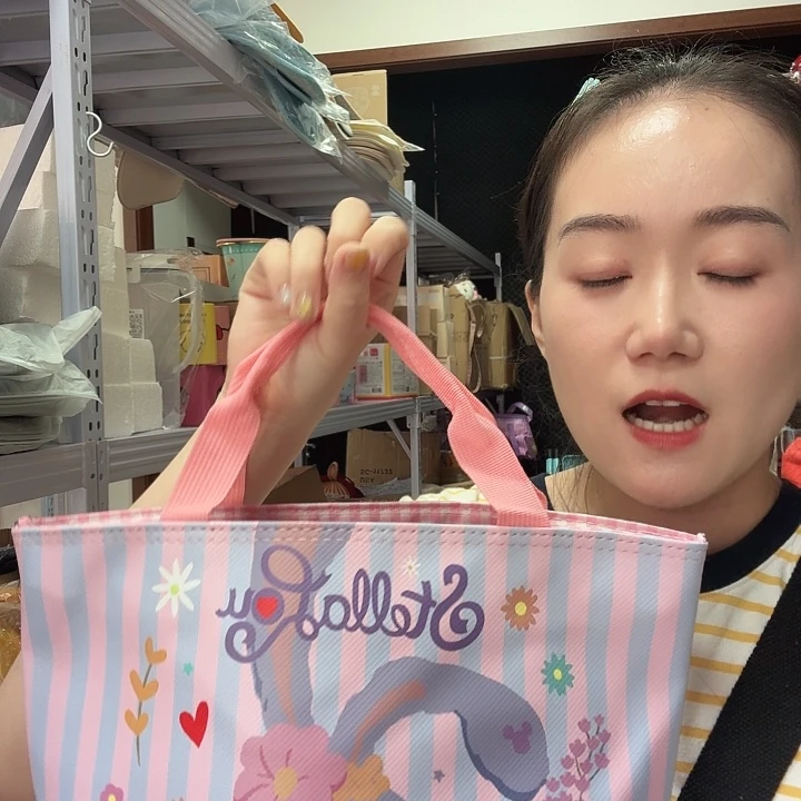 PU箱包收纳箱等物品