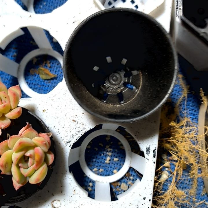 满9元包邮，，万象盆十个