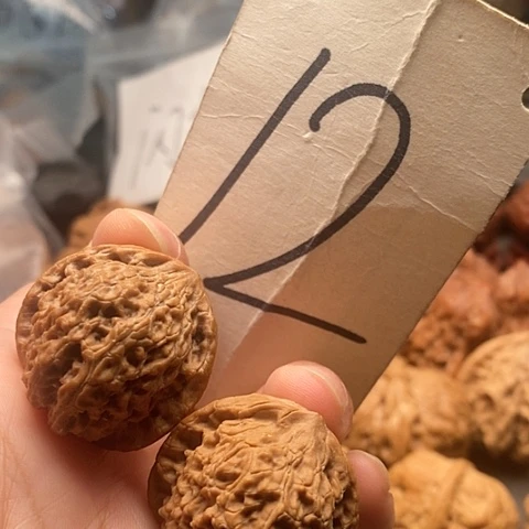 桃核吊坠31全品血麒麟手捻