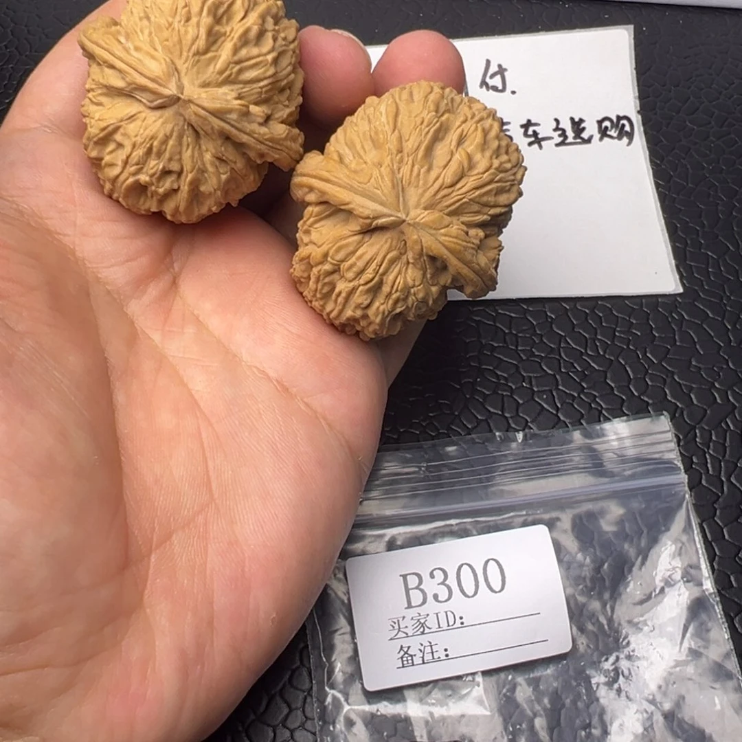 核桃手串/手链41白狮子全品B300