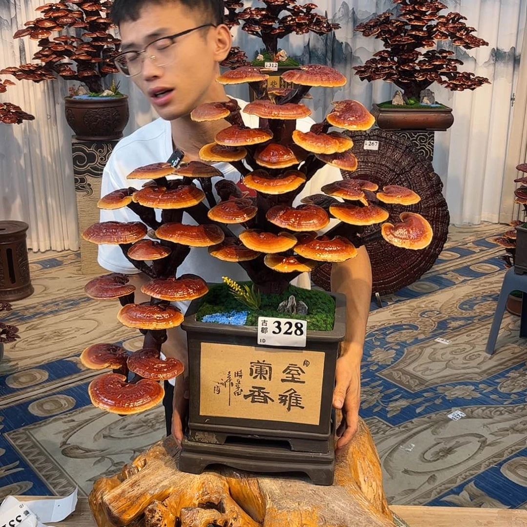 全部花朵88888888888888