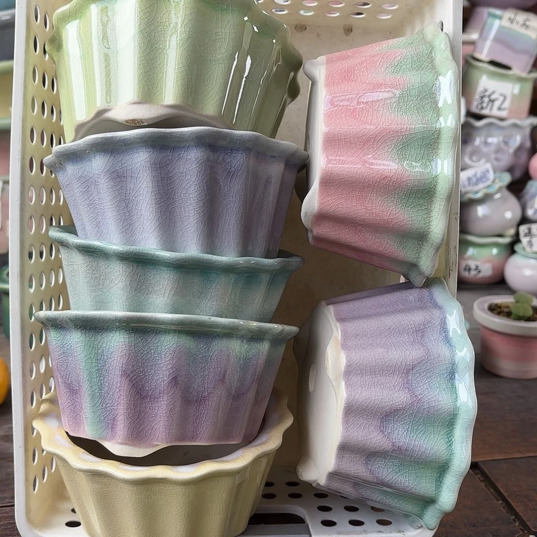 量货/口10高6深浅搭配发4