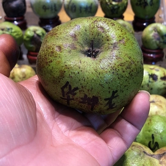 吊坠桃核核桃核桃