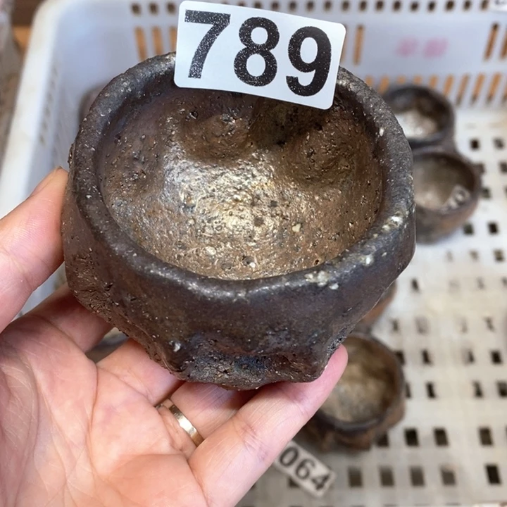 -***-789主人杯一个柴烧