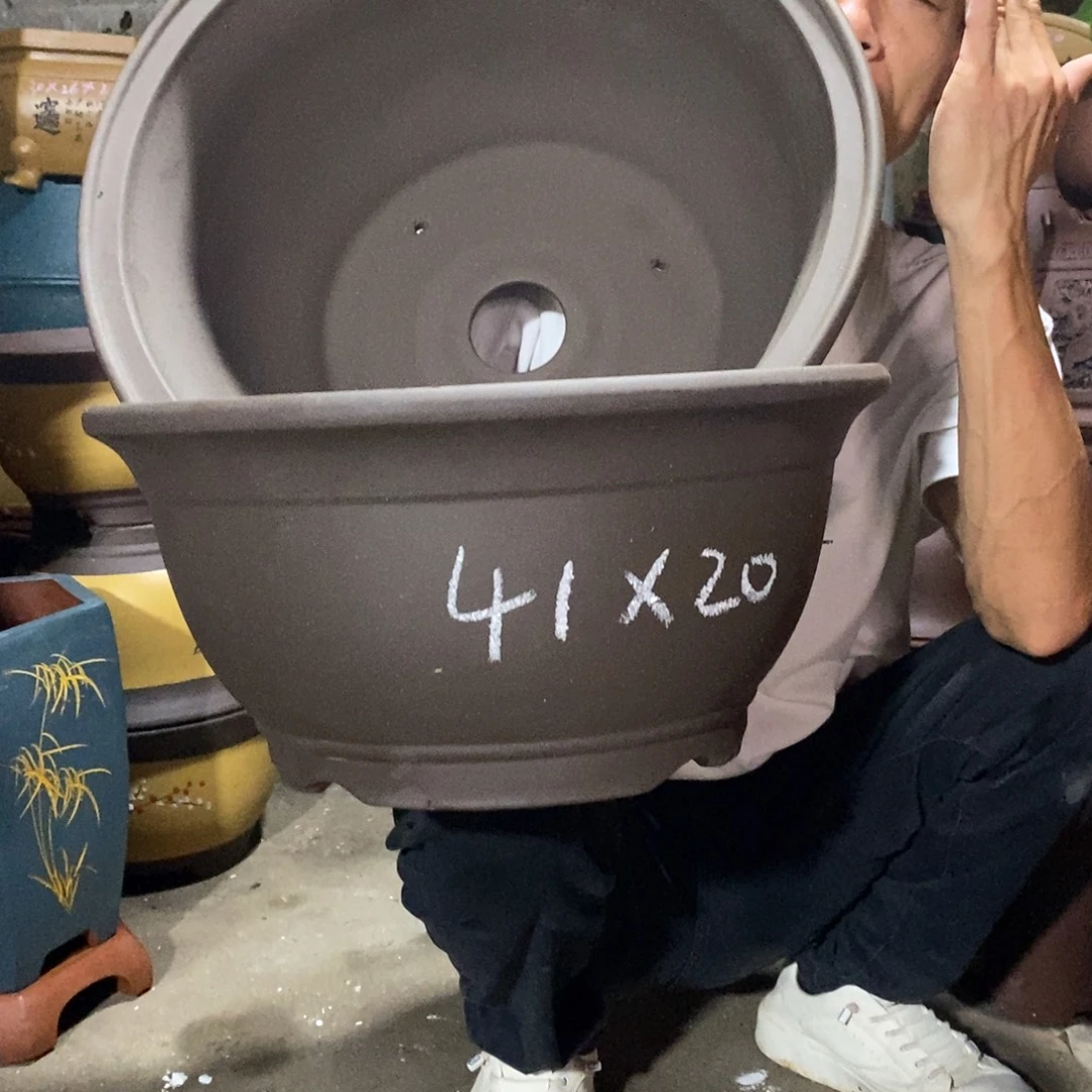 紫砂紫砂紫砂紫砂