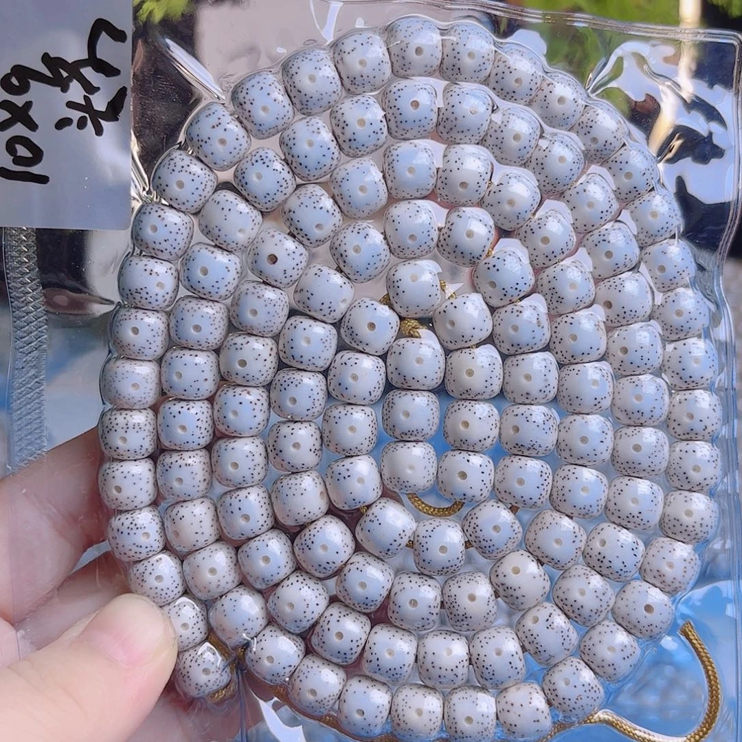 不***生吊坠菩提根/象牙果