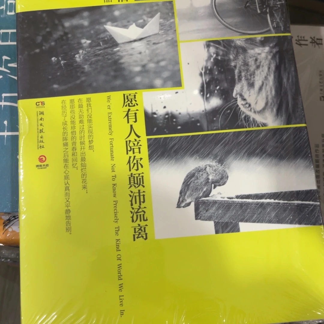 愿有人陪你颠沛流离