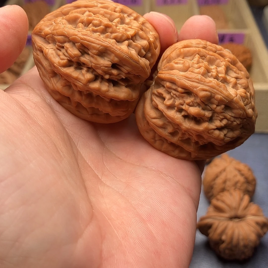 把件文玩核桃蓟县虎头王43（头货精品