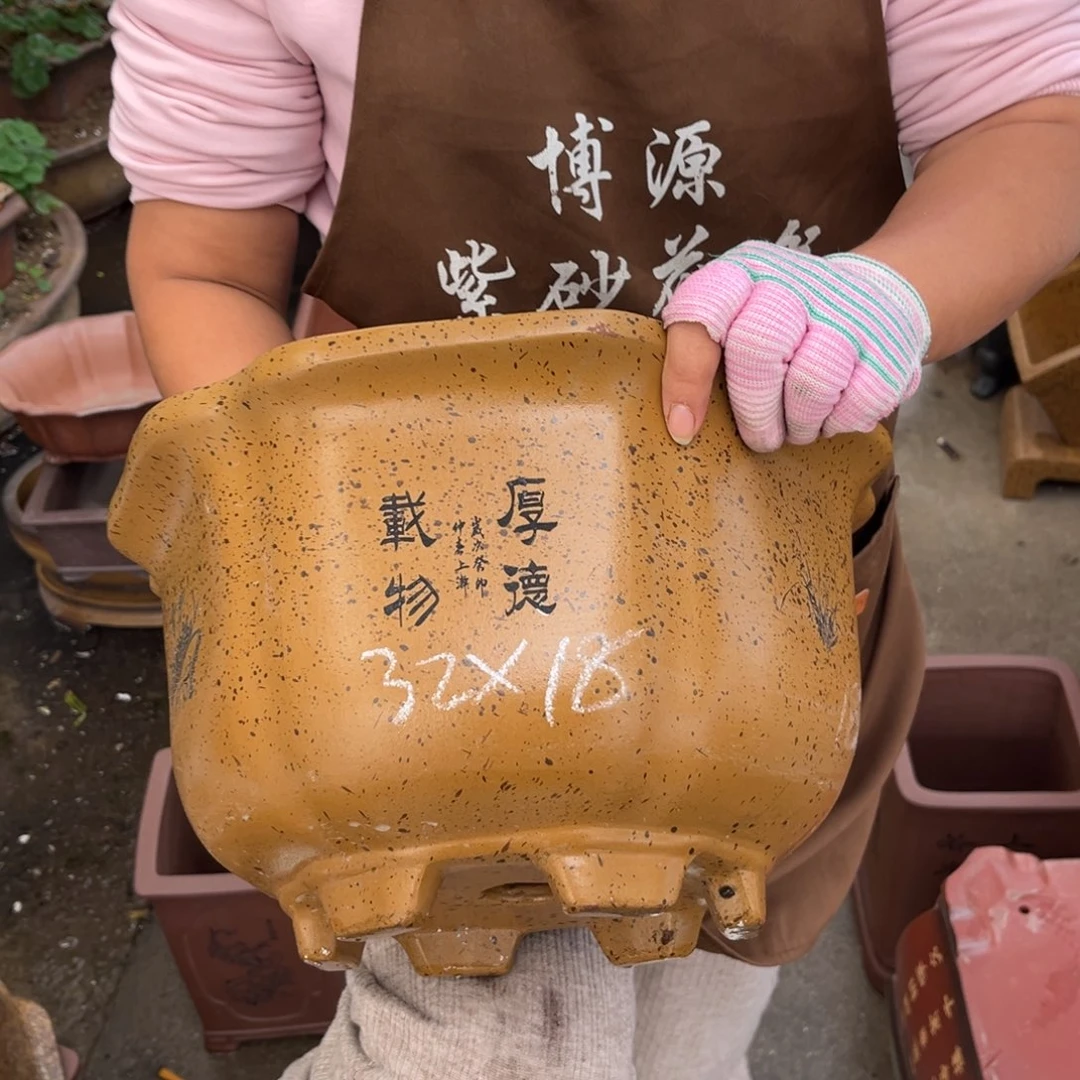 花盆紫砂盆景艺术