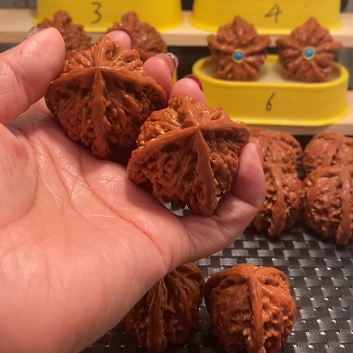 安***哥桃核吊坠四棱…………